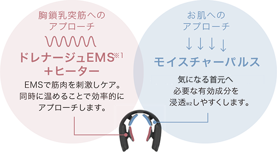 胸鎖乳突筋へのアプローチ&お肌へのアプローチ